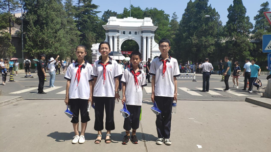 图片1