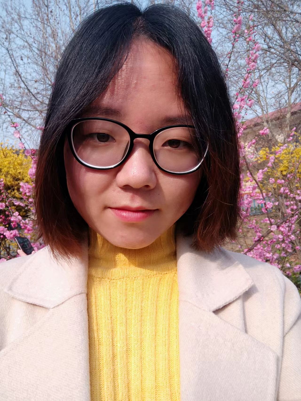 图片1